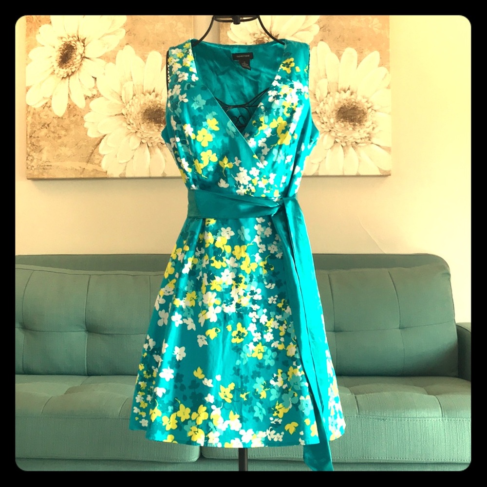 Spense Dress Size 12